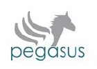 Pegasus Innovative Decoration LLC  UAE