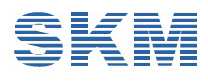 SKM Software  UAE