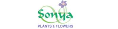 Sonya Plants and Flowers  UAE